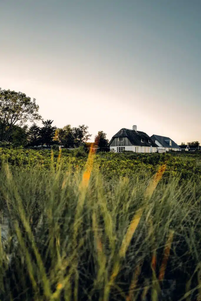 Feld im Abendlicht mit Bauernhaus im Küstenland